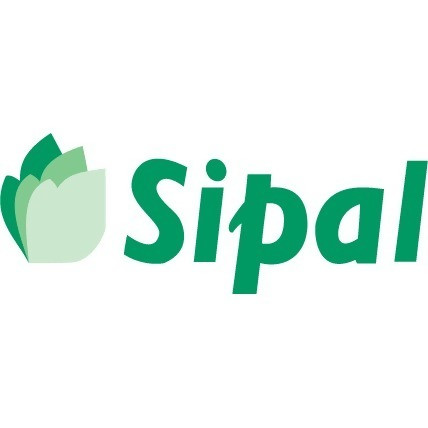 Sipal